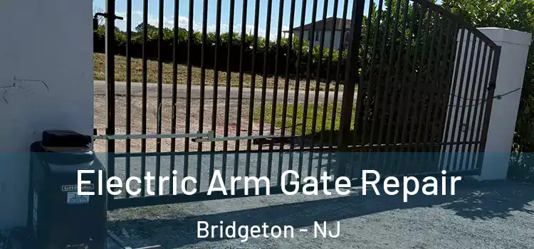Electric Arm Gate Repair Bridgeton - NJ